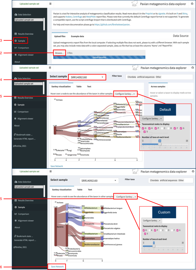 Pavian output for hierarchical visualization.